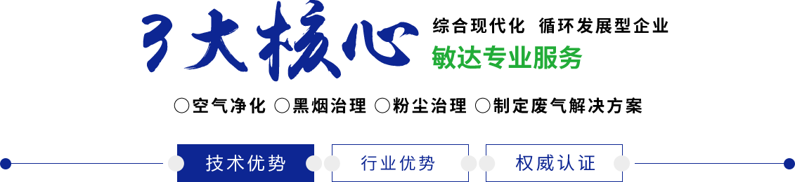 干日本嫩逼敏达环保科技（嘉兴）有限公司